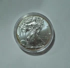 2019 $1 American Eagle 1 oz Silver Dollar Coin Walking Liberty listing #5ecb