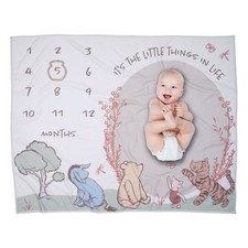 Lambs  Ivy Pooh Bear  Pals Milestone Baby Blanket - Brown, White, Green