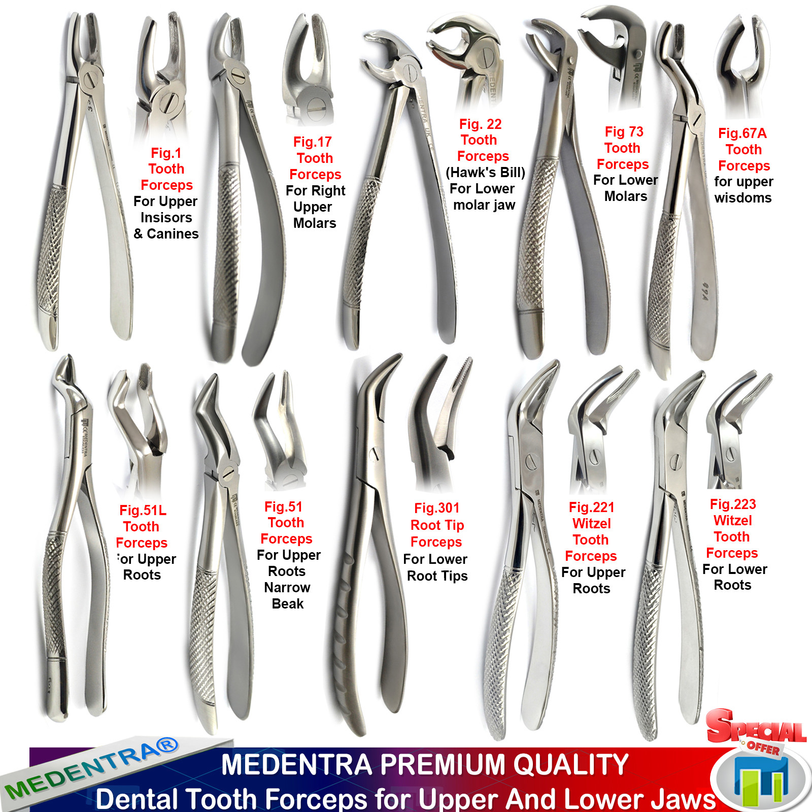 Surgical Dental Extracting Forceps Tooth Extraction Zange,Forcipe,Pinza