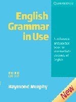 English Grammar In Use without Answers: A Reference... | Buch | Zustand sehr gut