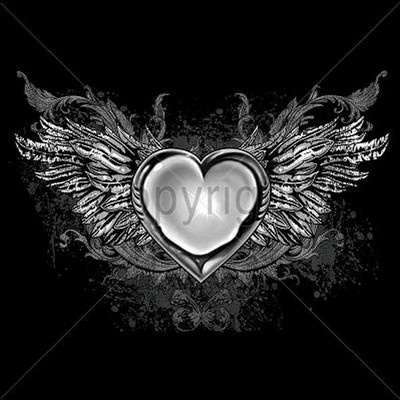 Winged Heart T Shirt You Choose Style, Size, Color Up to 4XL 20004