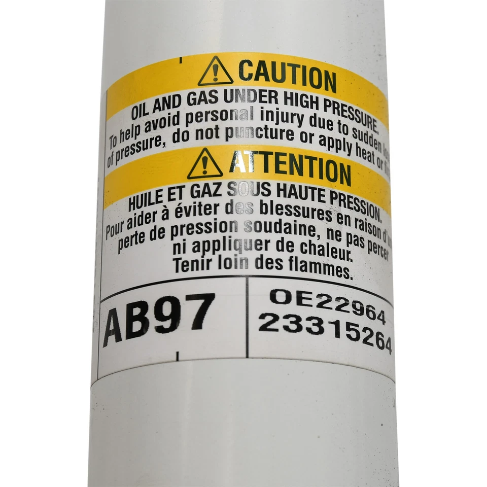 Nuevo Amortiguador trasero izquierdo o derecho OEM GM Rancho ACDelco 560-982 23315264 Foto 3 de 4