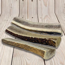 3 Pack - Small | Split Elk Antler Dog Chews - Antlers for Dogs - Made in Texas