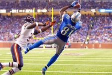 Calvin Johnson Poster Wall Art Decor Photo Prints 16x24, 20x30, 24x36"