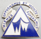 WWII Era NWTC Northern Warfare Training Center DI Unit Crest Pin — photo 1