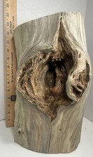 Driftwood Taxidermy Beach Lake Mountain House Wedding Reception Aquarium