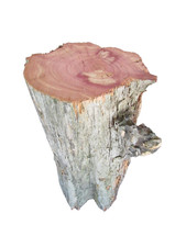 Small CEDER Wood Log, 7 x 2.7 in, Log Carving Blanks- HARDWOOD 1 LB TN Wood