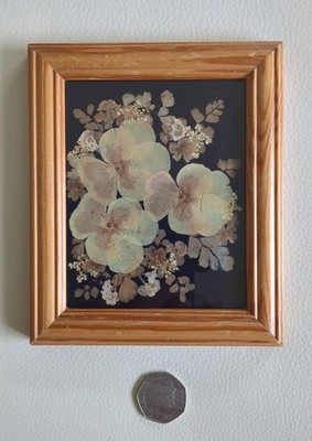 Vintage Miniatur Holz gerahmt gepresste Blume Kunst H16 B13cm