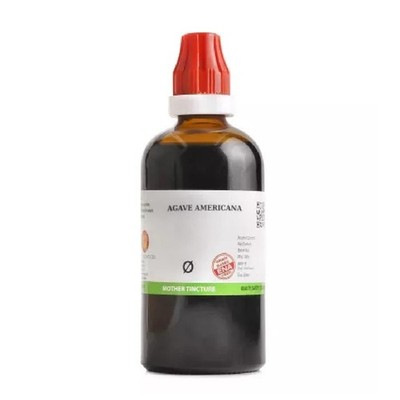 BJain Agave Americana 1X (Q) Mother Tinctures (100ml)