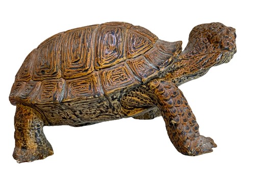 AAA CE Gummi Schildkröte Schildkröte 5" lang 2 1/3" groß Figur realistisch eingestellt - Bild 6 von 12