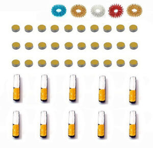 Sujok Acupressure Byol Meridian Chart