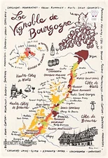 French Cotton Kitchen Dishtowel - Wine Map of Bourgogne Region- Made France