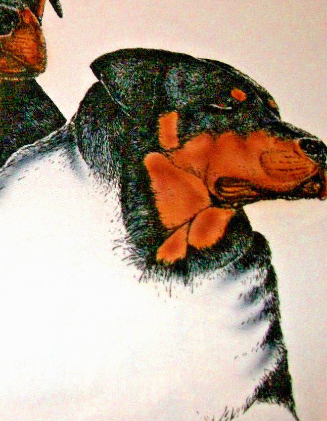 Picture 3 of 4