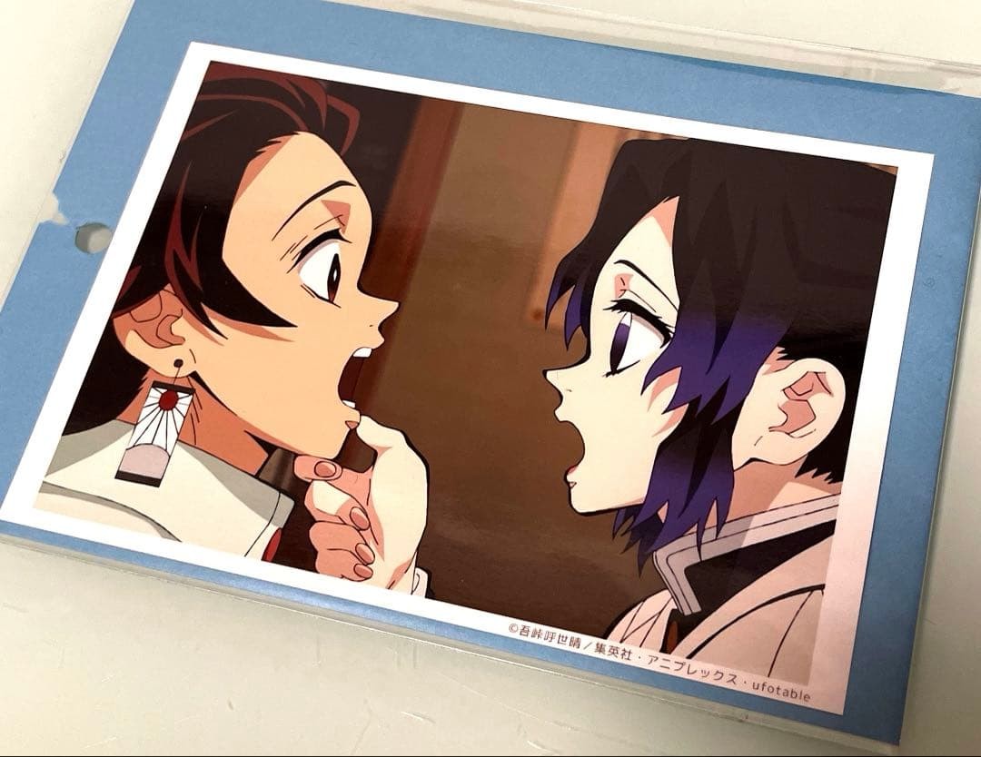 Demon Slayer Kimetsu no Yaiba Ufotable Scene Photo Bromide Lottery Shinobu Tanji