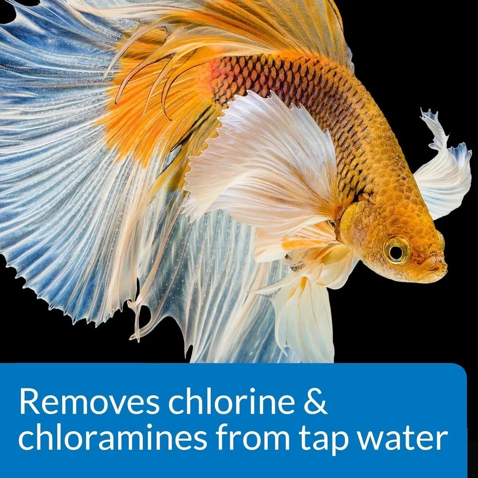 API BETTA WATER CONDITIONER Betta Fish Freshwater Aquarium Water Conditioner 1.7 - Image 4 of 4