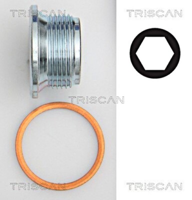 TRISCAN Oil Pan Screw Plug For MERCEDES 100 190 Sprinter T1 53-06 1309970032