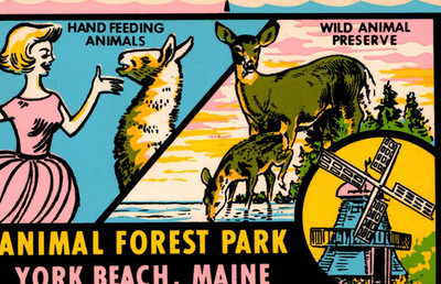 1950's Animal Forest Park York Beach ME Fluorescent Self Stick Postcard