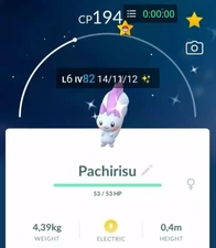 ✨Pokémon -  Shiny Pachirisu✨ P T C  - Description