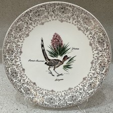 AACO souvenir Ceramic Collector Plate Arizona 10" Road Runner YUCCA