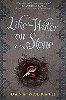 #ad Like Water on Stone Hardcover Dana Walrath $7.42