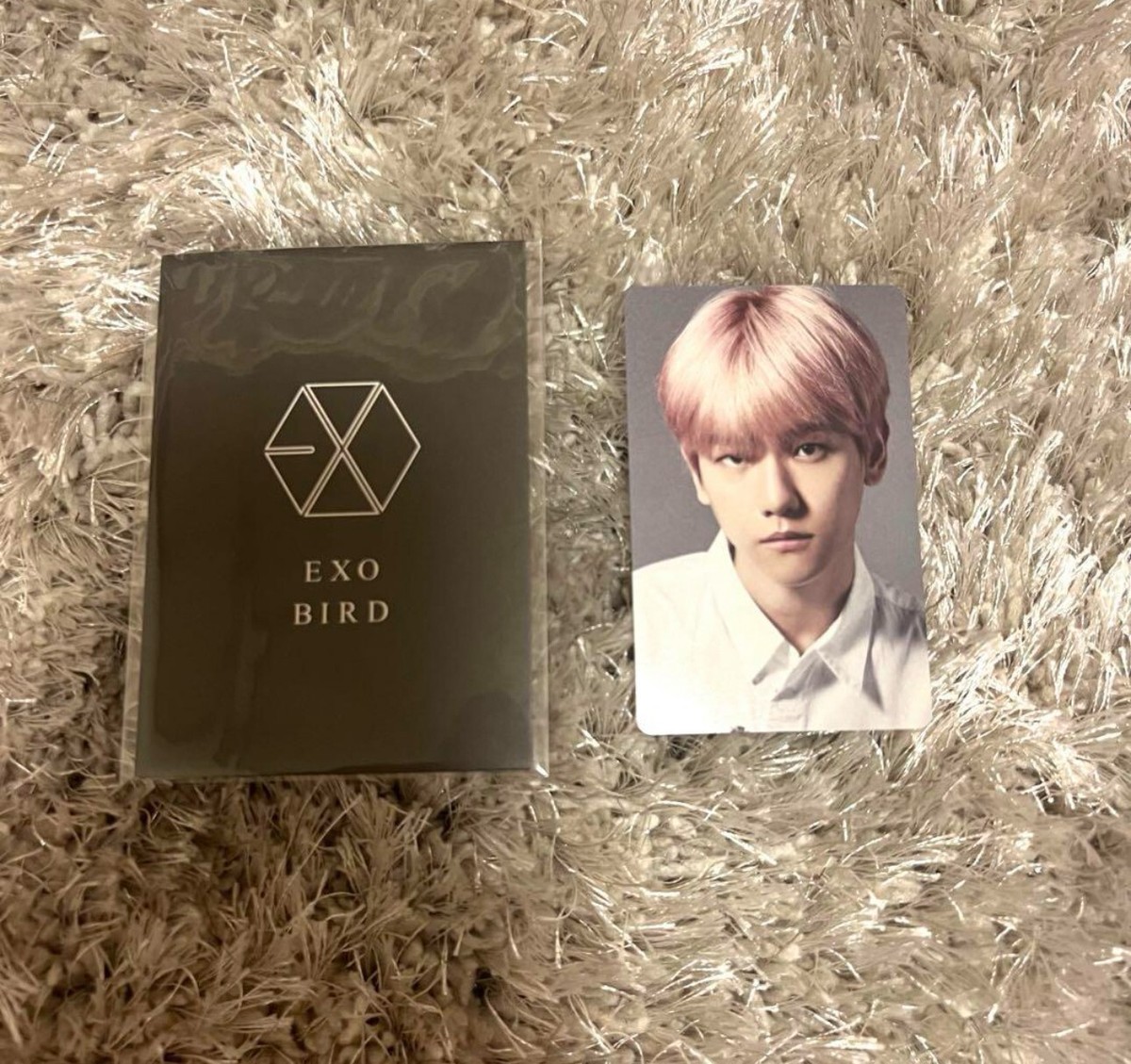EXO BIRD JAPAN FC Limited BAEKHYUN Official Trading Photo