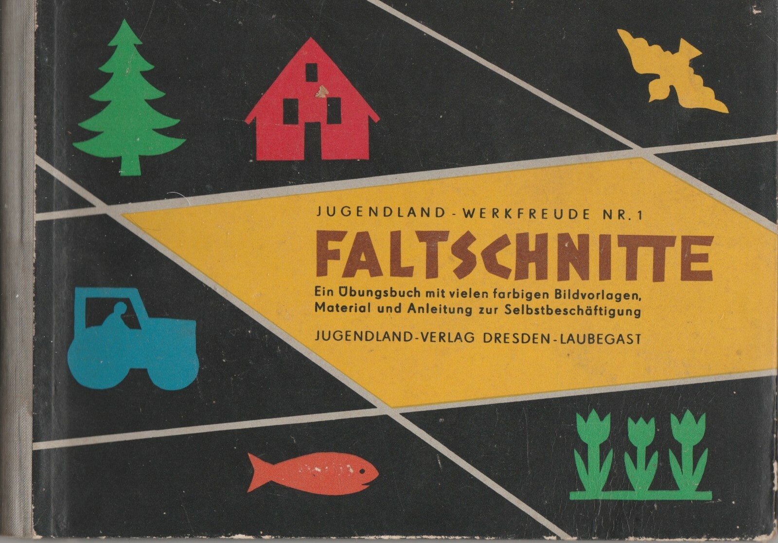 Faltschnitte. Ein Übungsbuch mit vielen farbigen Bildvorlagen,