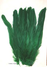 25 KELLY GREEN Rooster Tail Feathers 8-10" length Strung FREE SHIPPING w/in USA