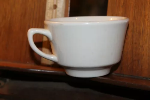 Vintage Jackson Custom China Falls Creek PA G F3 Coffee Tea Cup 