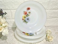 ANNI 70 PIATTO 6 PIATTI 2 PIANI DIAM 23 4 CAVI DIAM 21 ARCOPAL FRANCE ANEMONI..