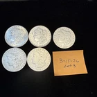 lot of 5 morgan silver dollars