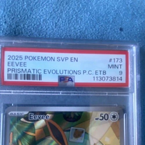 Pokemon Eevee 173 Sv: Scarlet & Violet Promo Holo Pokemon Center PSA 9