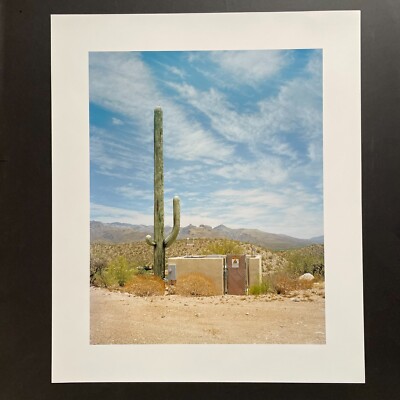 Robert Voit - Foto ''New Trees'' - Scottsdale, Arizona - USA 2006