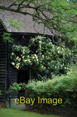 Photo 6x4 Rose covered barn at Goose Green Farm Palmers Cross/TQ0240 The c2006