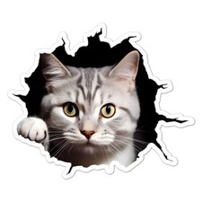 Cat Kitten Peeking Hole, Vinyl Decal Sticker, Indoor Outdoor, 3 Sizes, 11073