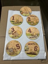 Disney Winnie the Pooh  Friends Monthly Milestone Markers Keepsake Set