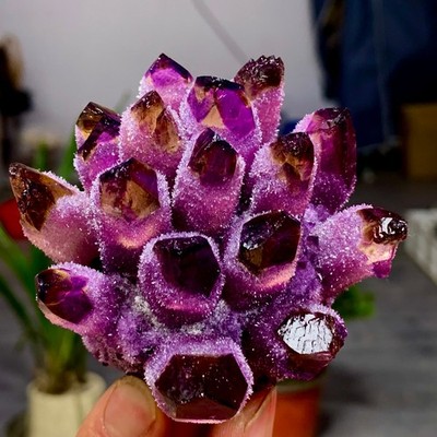 237G Newly discovered purple phantom crystal quartz cluster mineral sample