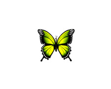Green Butterfly T34h Front View Butterfly Vinyl Decal Sticker  Waterproof