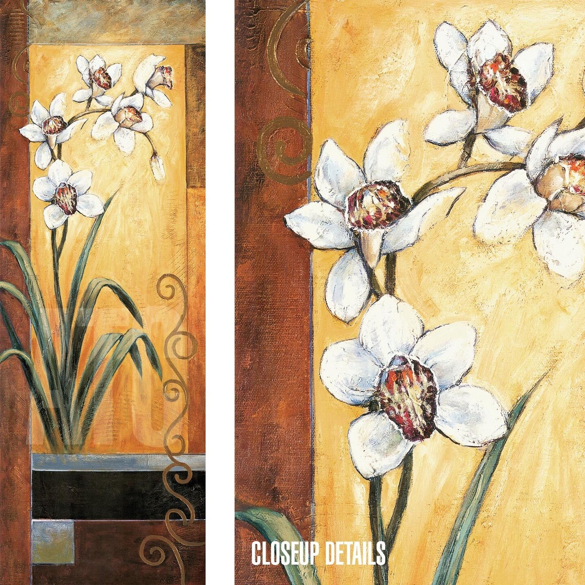 IRIS (14x40