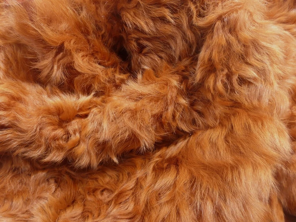 овчина кожа Тоскана шкуры яркий ржавчины оранжевый вьющиеся шелковистые волосы с замшевой спиной - Изображение 4 из 4