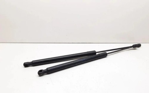 BMW X1 E84 Heckklappe Gasdruckfeder links 2990136 2.00 Diesel 105kw 33643491