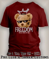 Never Give Up Teddy King Tee Shirt to Match Retro Air J2 Python Shoe Big Tall Sm