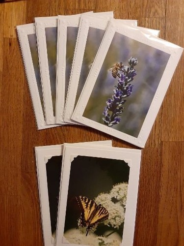 Set of 10 handmade 5x7 blank photo note cards & env's - Pacific Northwest themes - Picture 6 of 14