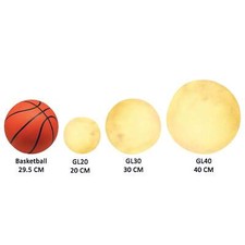 GL Series Moon Light Fixture 12V Low Voltage Outdoor IP65