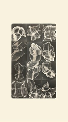 Unique Stitched Print - Cameraless Dark Room Photography 24 x 40 Inches