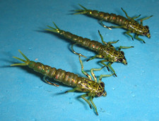 MOSCHE PESCA A MOSCA - Oliva SILI DAMIGELLA NINFA (pesata) taglia #12 (3 pz.)