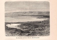 Stampa antica PALESTINA MAR MORTO veduta panoramica 1893 Antique print