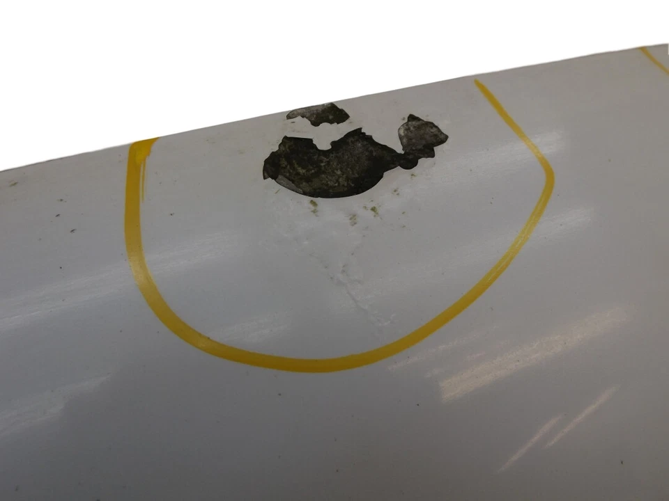 Panel del capó delantero Ford Expedition 2003-2006 usado OEM 2L1Z16612AA Foto 2 de 4