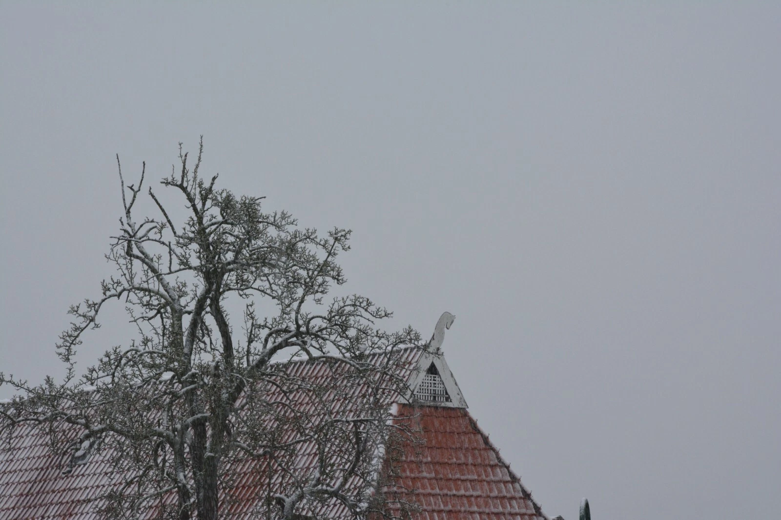 Bild 23 von 24