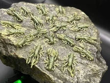 1" Micro Craw- Single Color Patterns, free shipping!