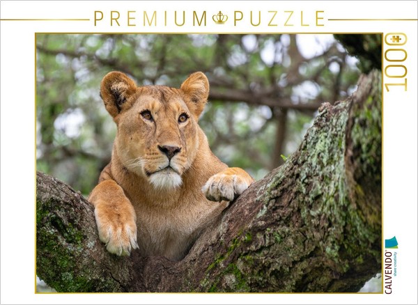 Calvendo Puzzle Lioness At Lake Ndutu, Tanzania | 1000 Pieces, Finished Size 25.-image